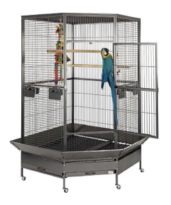 Liberta Raleigh Large Solid Top Corner Parrot Cage - Antique